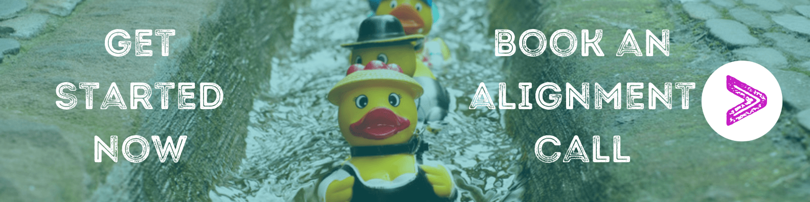 Picture of rubber ducks sitting in a row in a gutter with the text: Get started now, book an alignment call