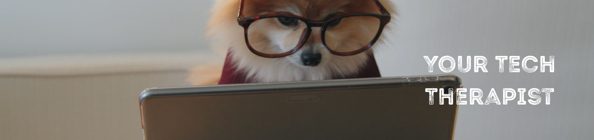 A pomeranian dog wearing glasses working on an ipad.